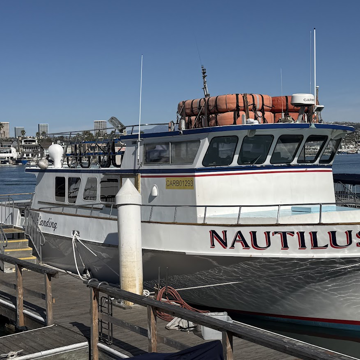 Newport Beach, CA - Whale Watch
