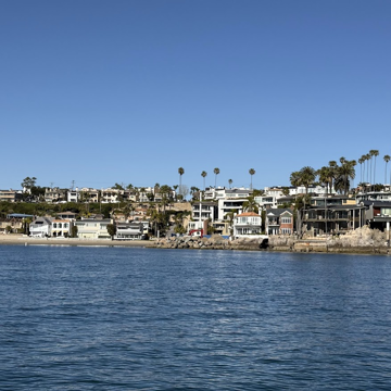 Newport Beach - Whale Watch